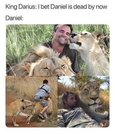 Lion King Meets Bible